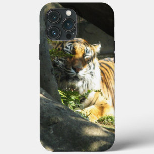 Tiger Catnap iPhone 13 Pro Max Case