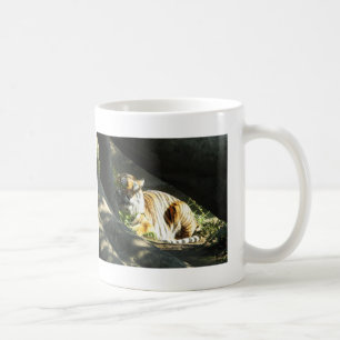 Tiger Catnap Coffee Mug