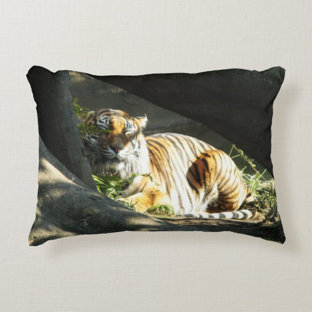 Tiger Catnap Decorative Cushion (Front)