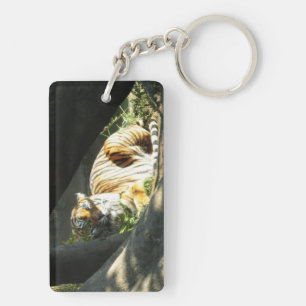 Tiger Catnap Key Ring