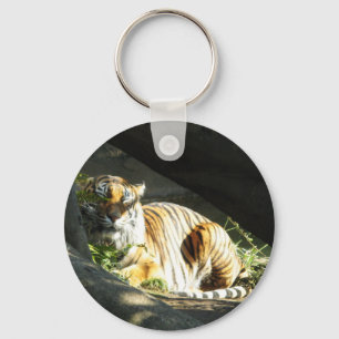 Tiger Catnap Key Ring