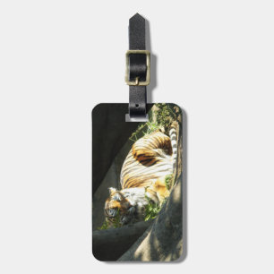 Tiger Catnap Luggage Tag