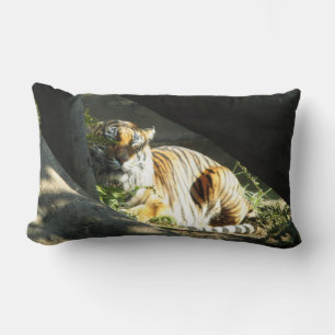 Tiger Catnap Lumbar Cushion