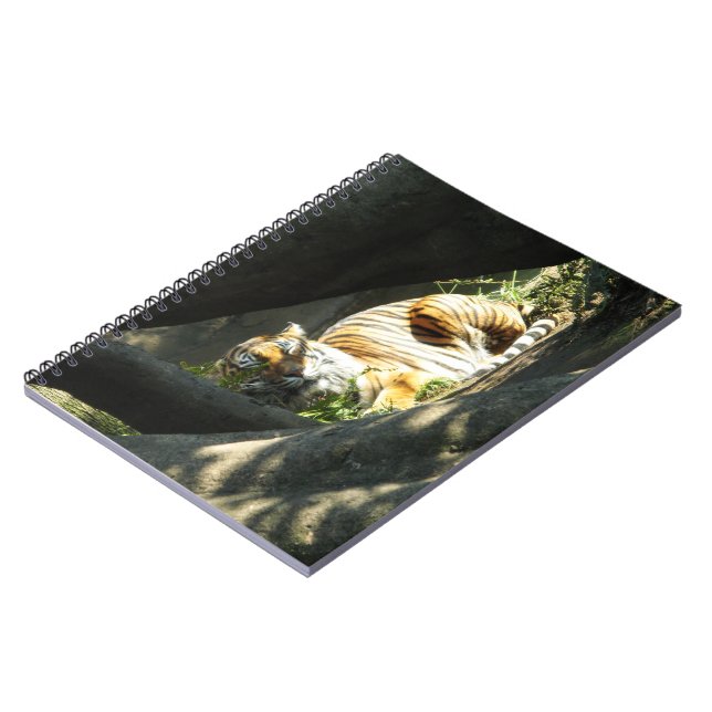 Tiger Catnap Notebook (Left Side)