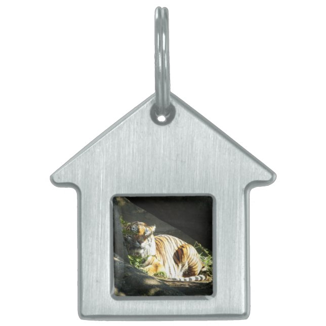 Tiger Catnap Pet Name Tag (Front)