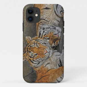 Tiger Cave iPhone 11 Case