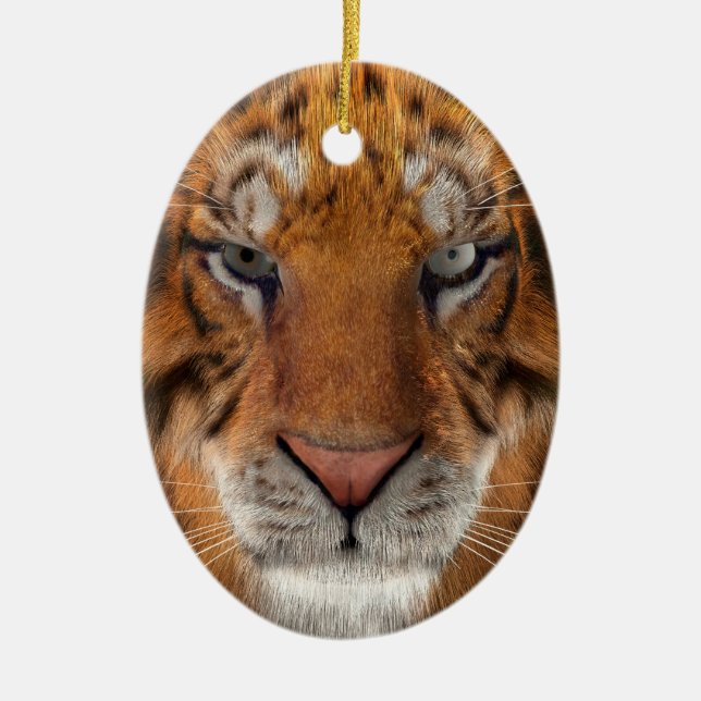 Tiger Ceramic Ornament (Front)