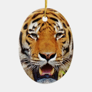 Tiger Ceramic Ornament