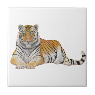Tiger Ceramic Tile