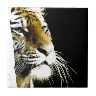Tiger Ceramic Tile