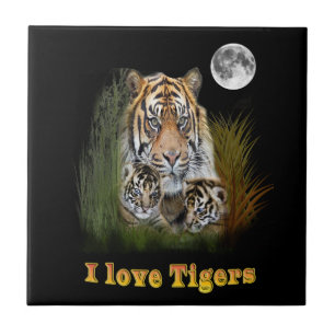 Tiger Ceramic Tile
