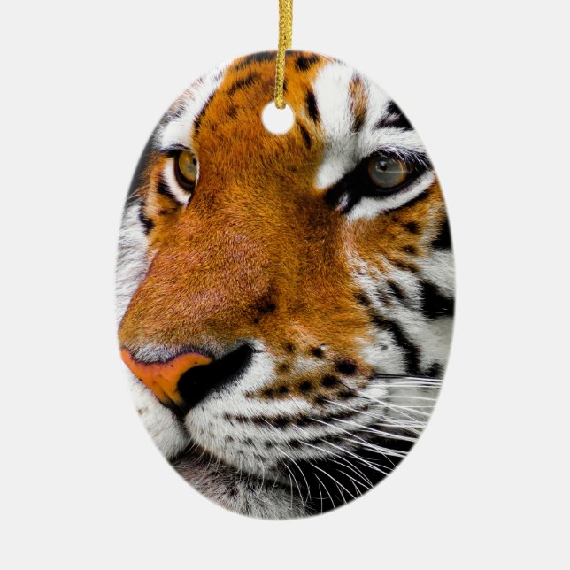 Tiger Ceramic Tree Decoration (Front)