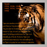 Tiger Chinese Zodiac