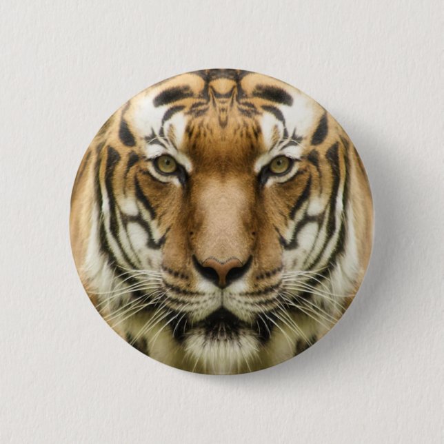 Tiger Close-Up buttons (Front)