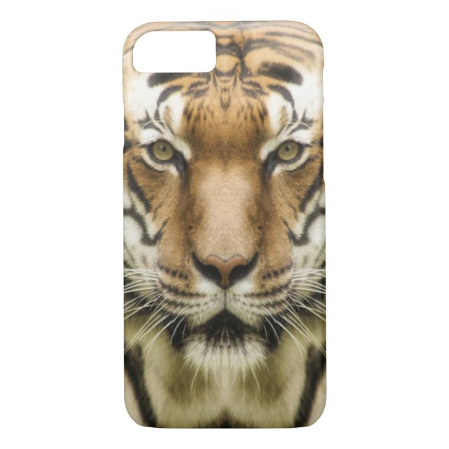 Tiger Close-Up phone cases (Back)