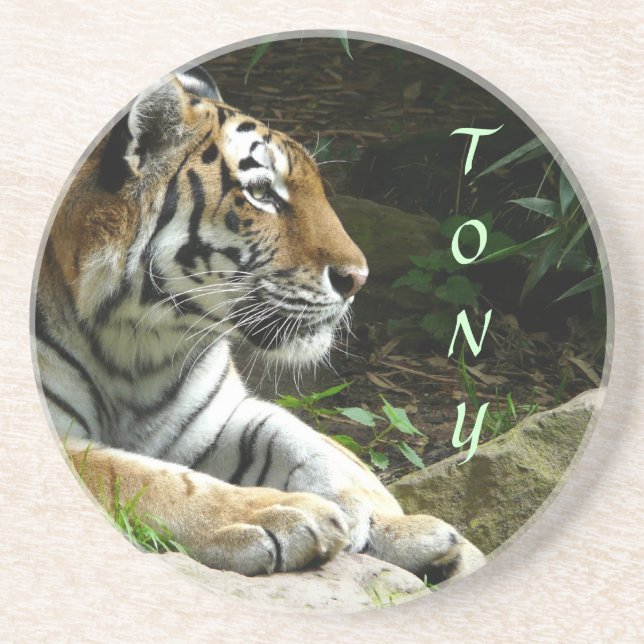 Tiger Coaster (Front)