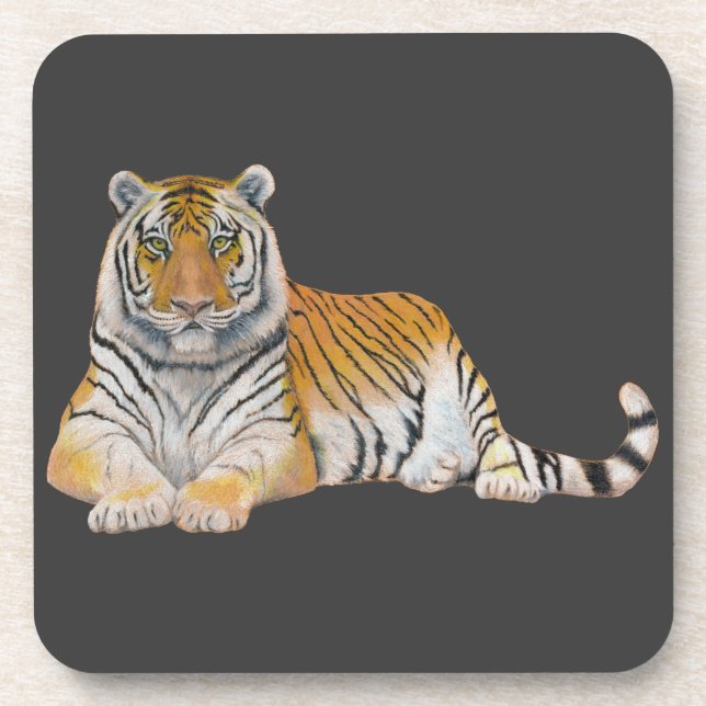 Tiger Coaster (Front)
