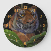 Tiger Crouching in the Jungle