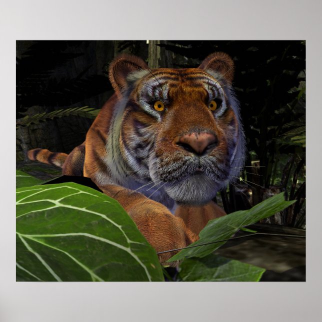 Tiger Crouching in the Jungle Poster (Front)