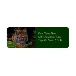 Tiger Crouching in the Jungle Return Address Label