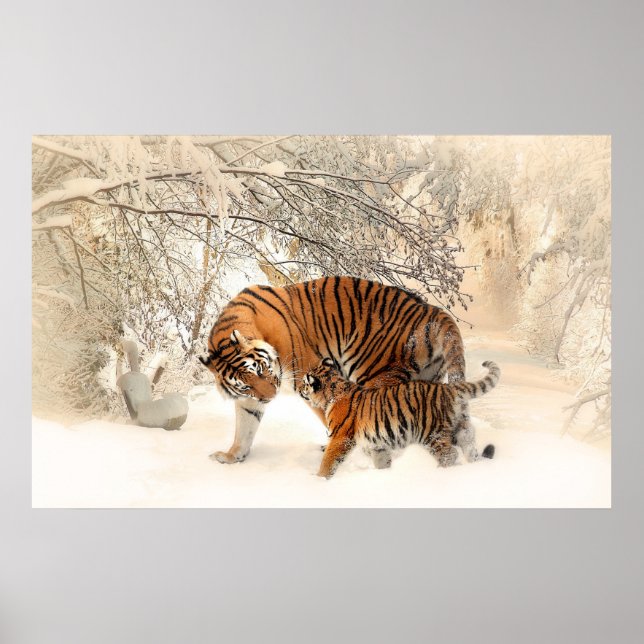tiger cub and mother in snow poster (Front)