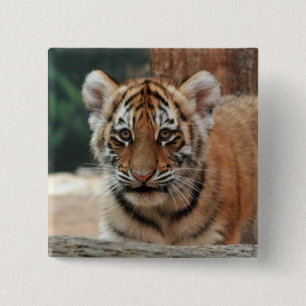 Tiger Cub Button