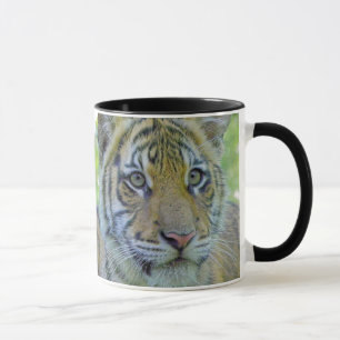 Tiger Cub Close Up Portrait Mug
