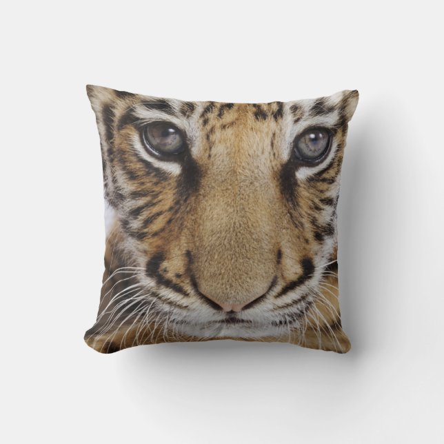 Tiger Cub Cushion (Front)