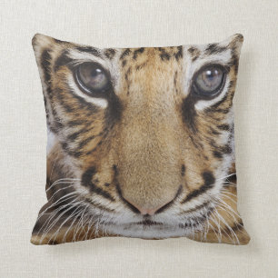 Tiger Cub Cushion