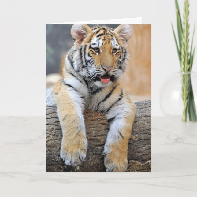 Tiger Cub Greeting Card (Front)