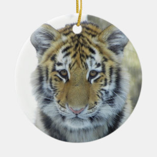 Tiger Cub In Snow Close Up Portrait Ceramic Ornament