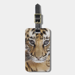Tiger Cub Luggage Tag