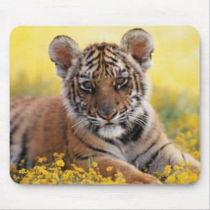 Tiger Cub Mouse Mat
