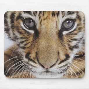 Tiger Cub Mouse Pad