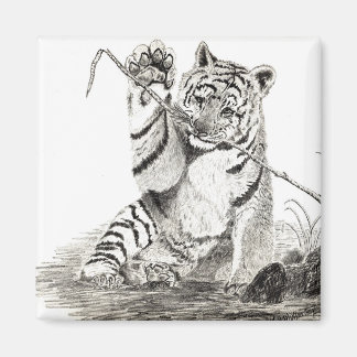 Tiger cub playing magnet