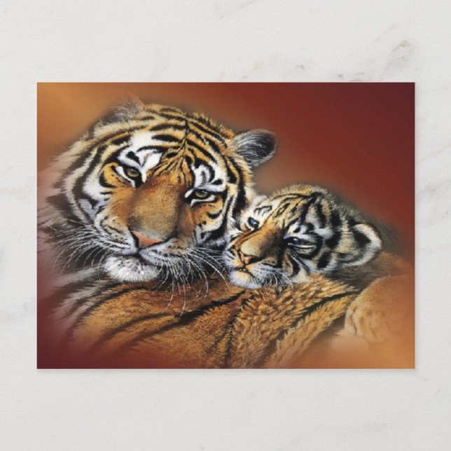 Tiger & Cub Postcard (Front)