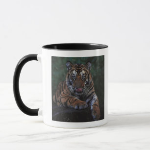 Tiger Cub Reclines on Rock Mug
