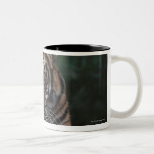 Tiger Cub Reclines on Rock Two-Tone Coffee Mug