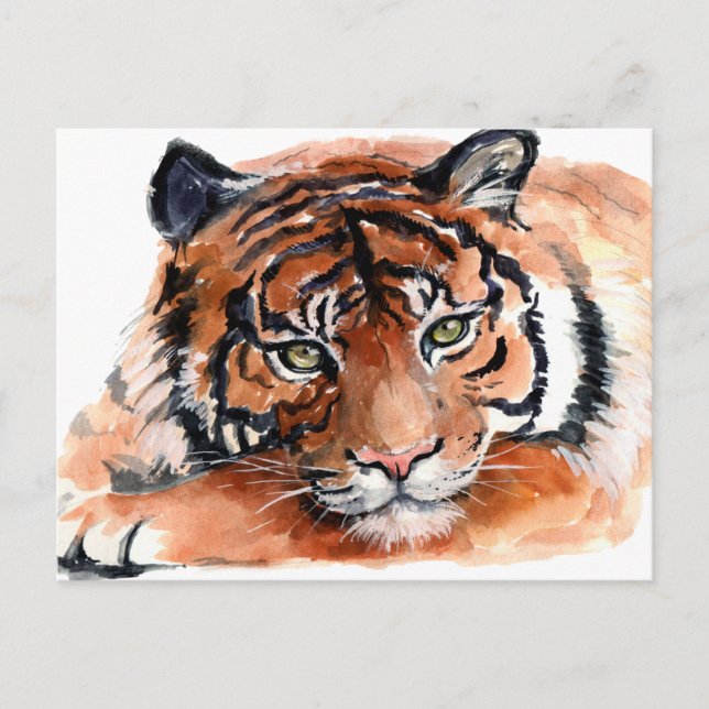 Tiger Cub Watercolor Postcard (Front)