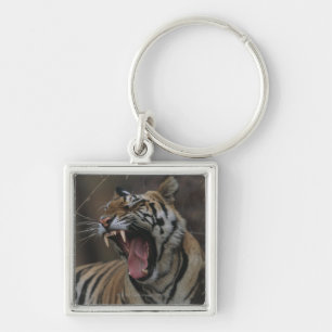 Tiger Cub Yawning Key Ring
