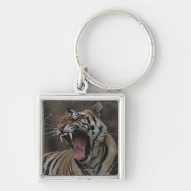 Tiger Cub Yawning Key Ring (Front)