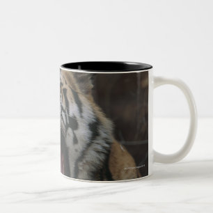 Tiger Cub Yawning Two-Tone Coffee Mug