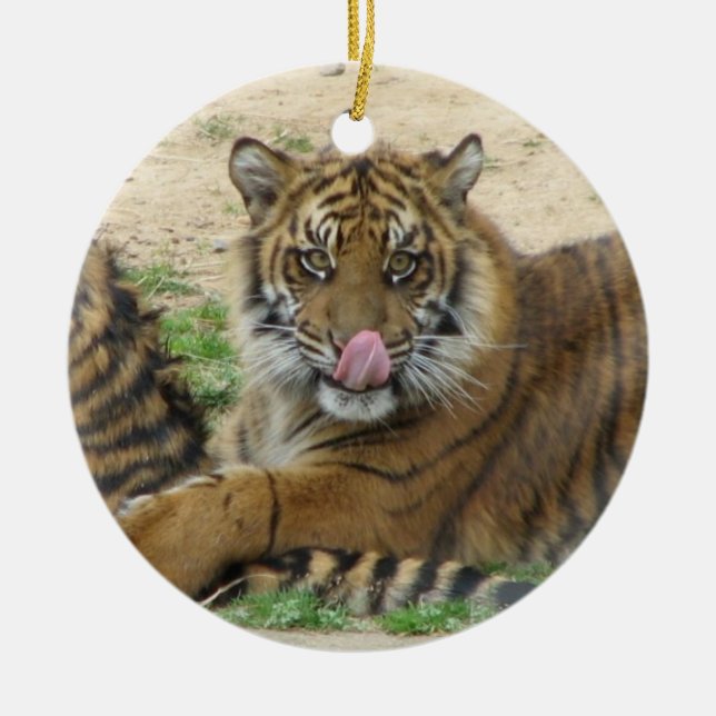 Tiger Cubs Ornament (Front)