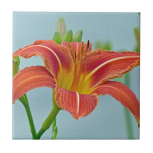 Tiger Daylily Ceramic Tile