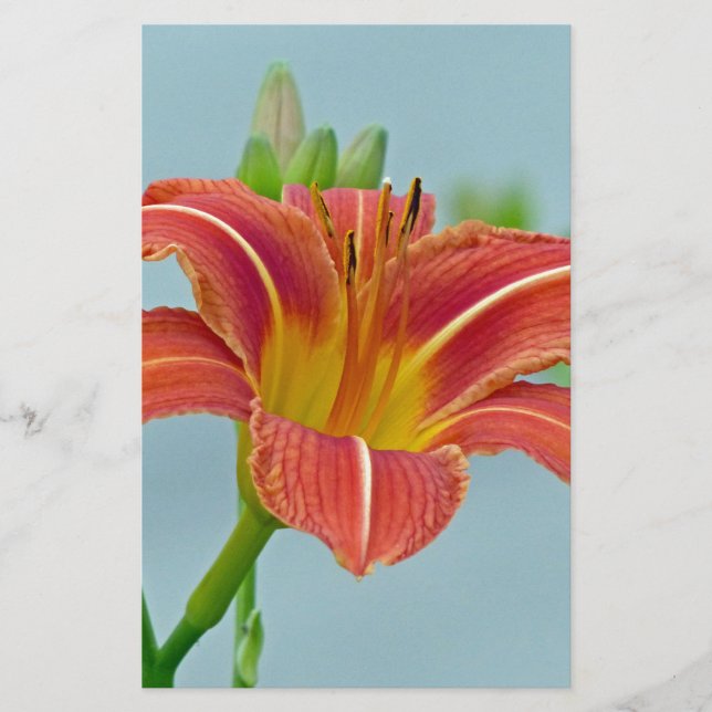 Tiger Daylily Stationery (Front)