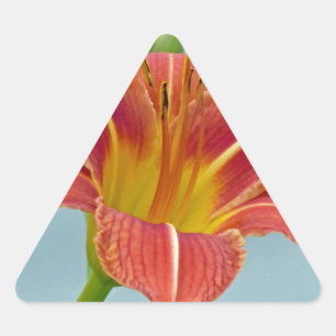 Tiger Daylily Triangle Sticker