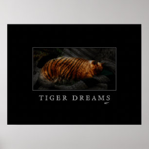 Tiger Dreams Poster