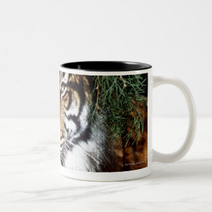 Tiger Enjoying Shade Two-Tone Coffee Mug
