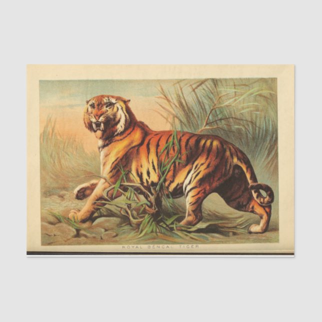 Tiger Ephemera Decoupage Tissue Paper (Front)