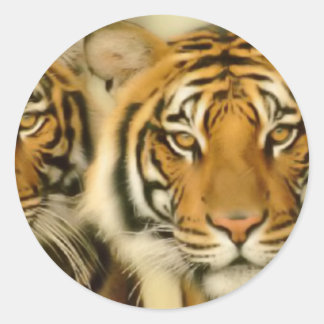 Tiger Eyes Classic Round Sticker